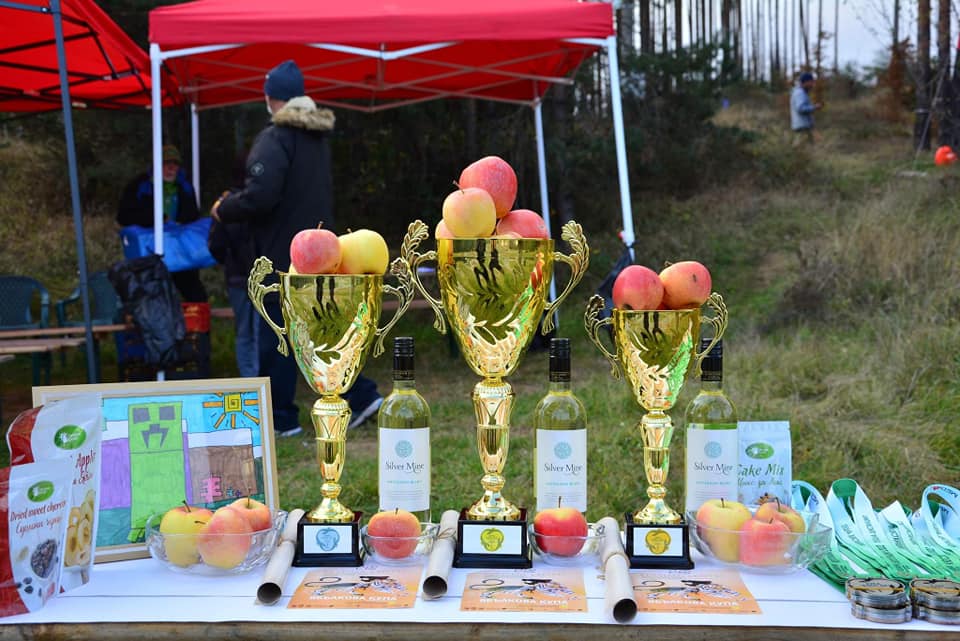 Празник на ориентирането в Кюстендил и Дупница